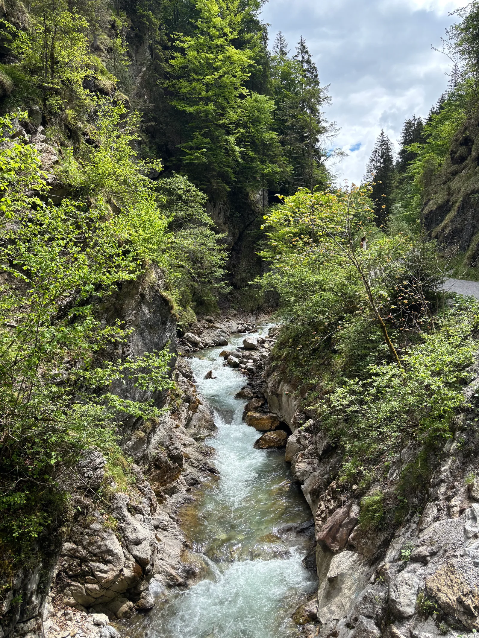 IMG_4667