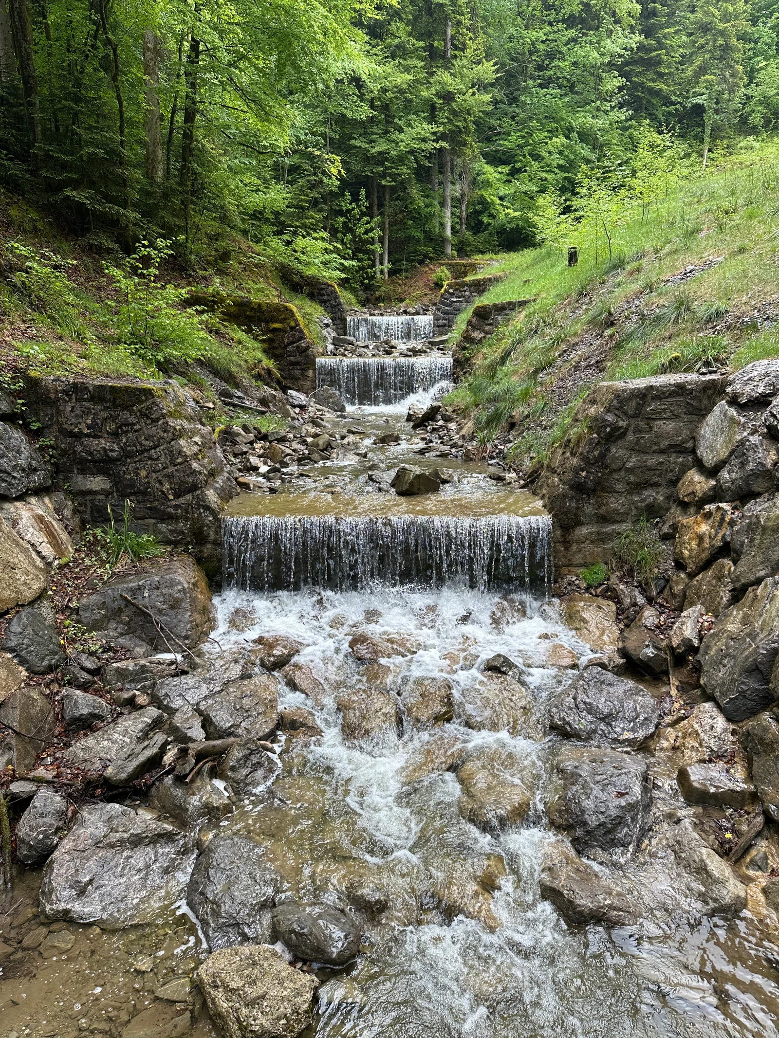 IMG_4844