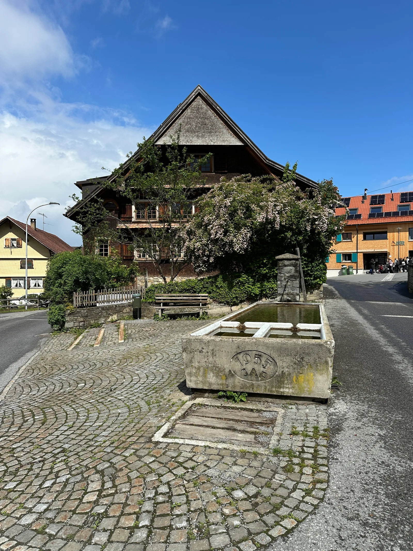 IMG_4878