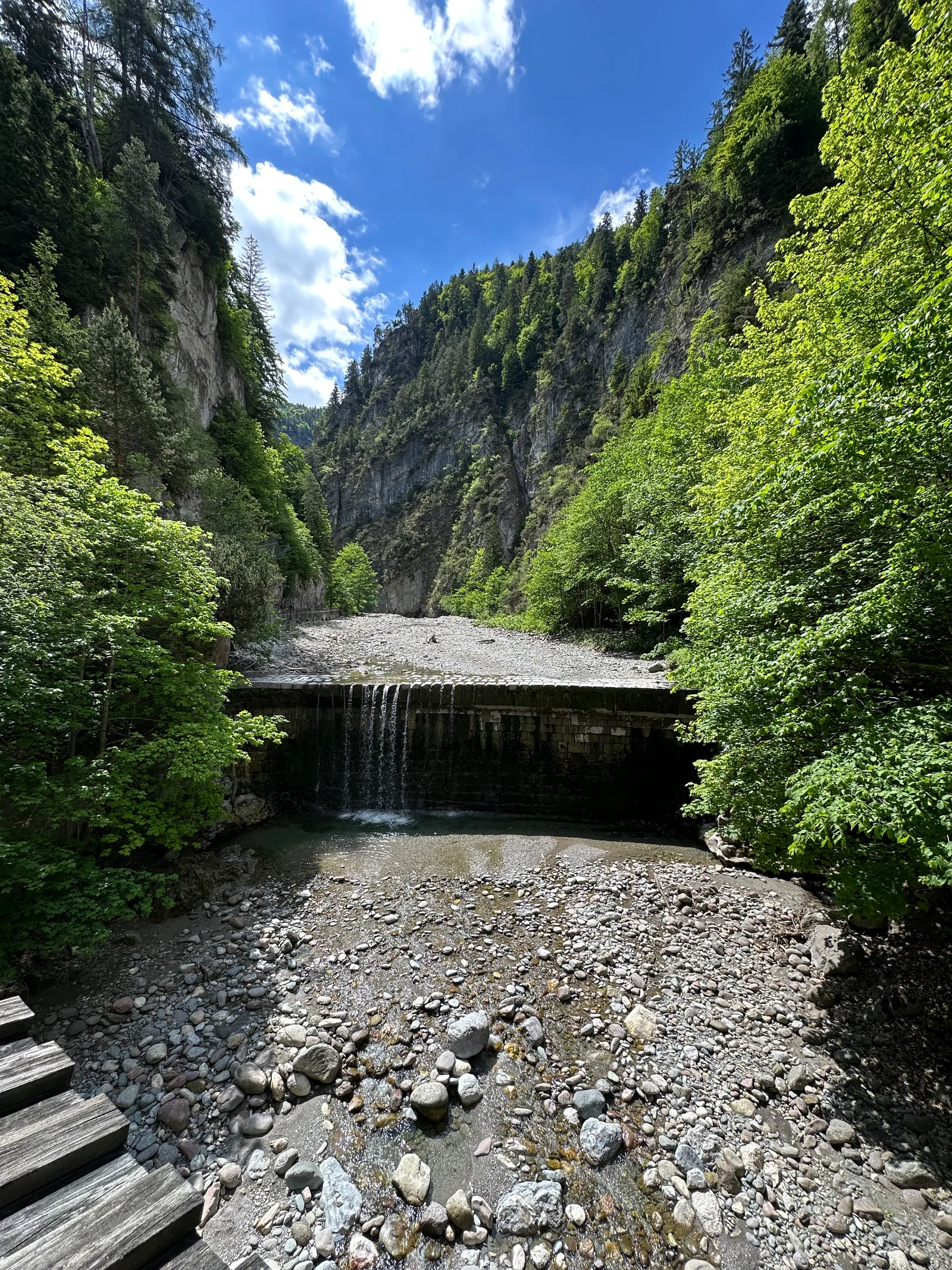 IMG_5037