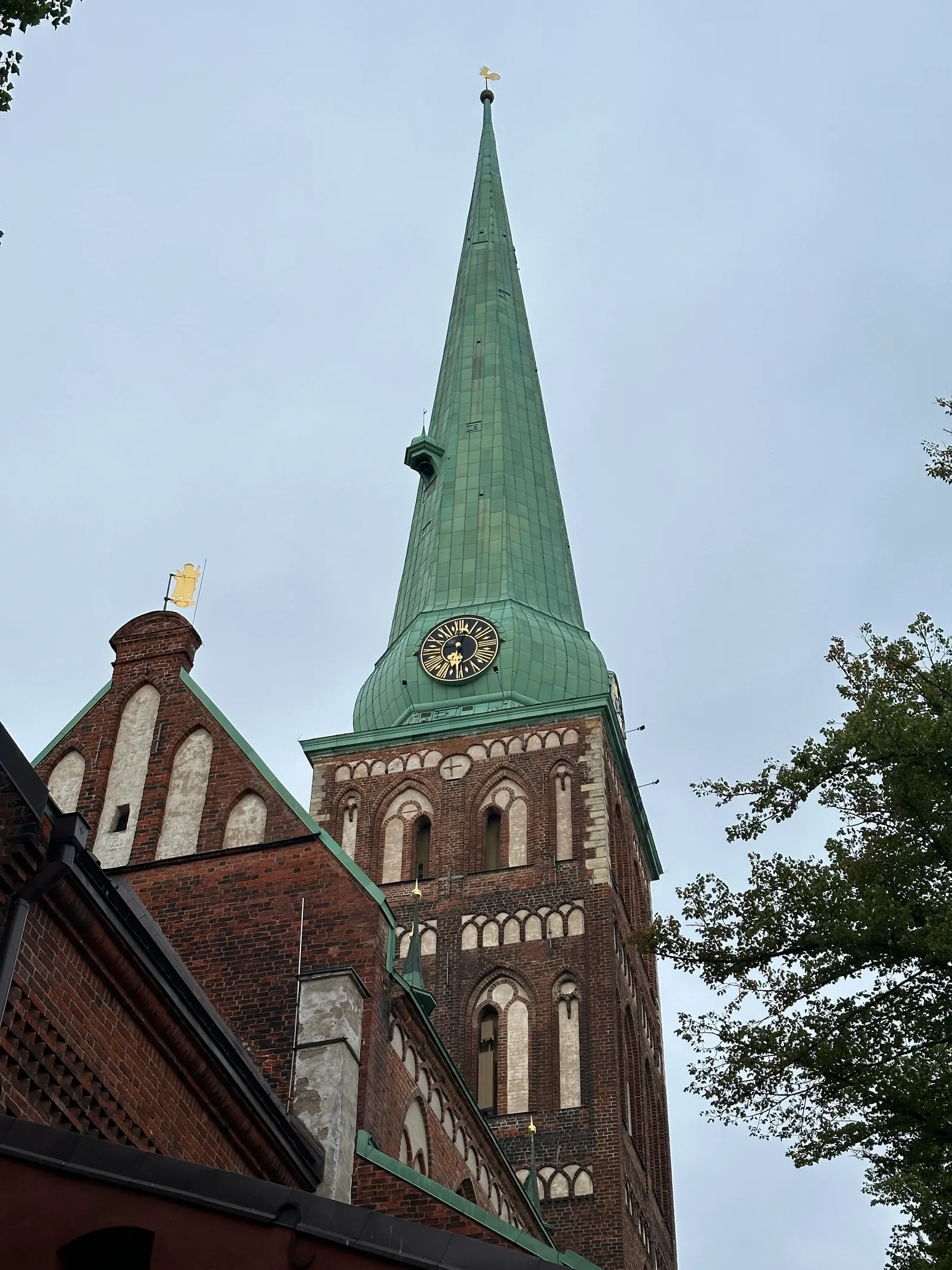 IMG_7071