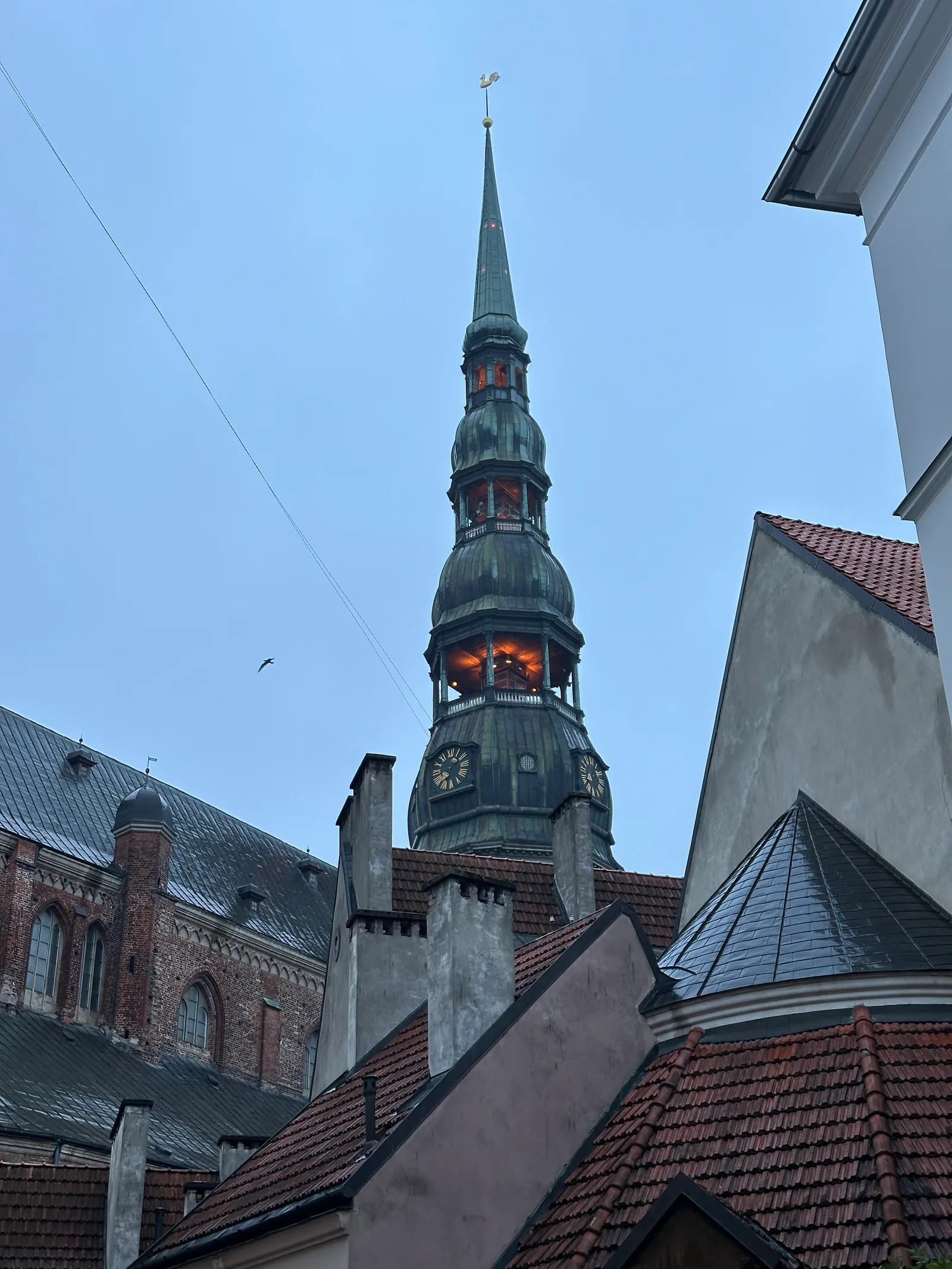 IMG_7135