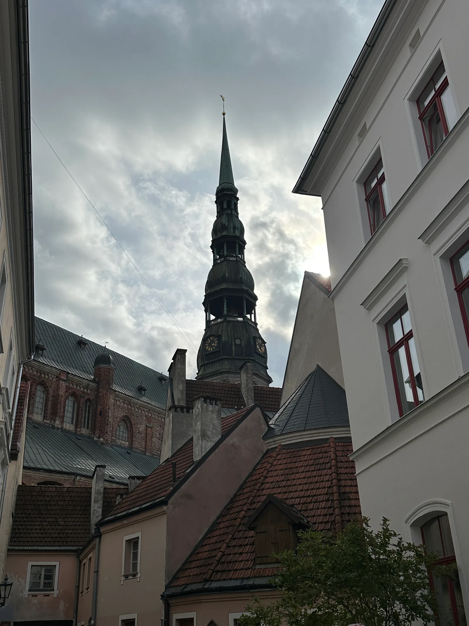 IMG_7456