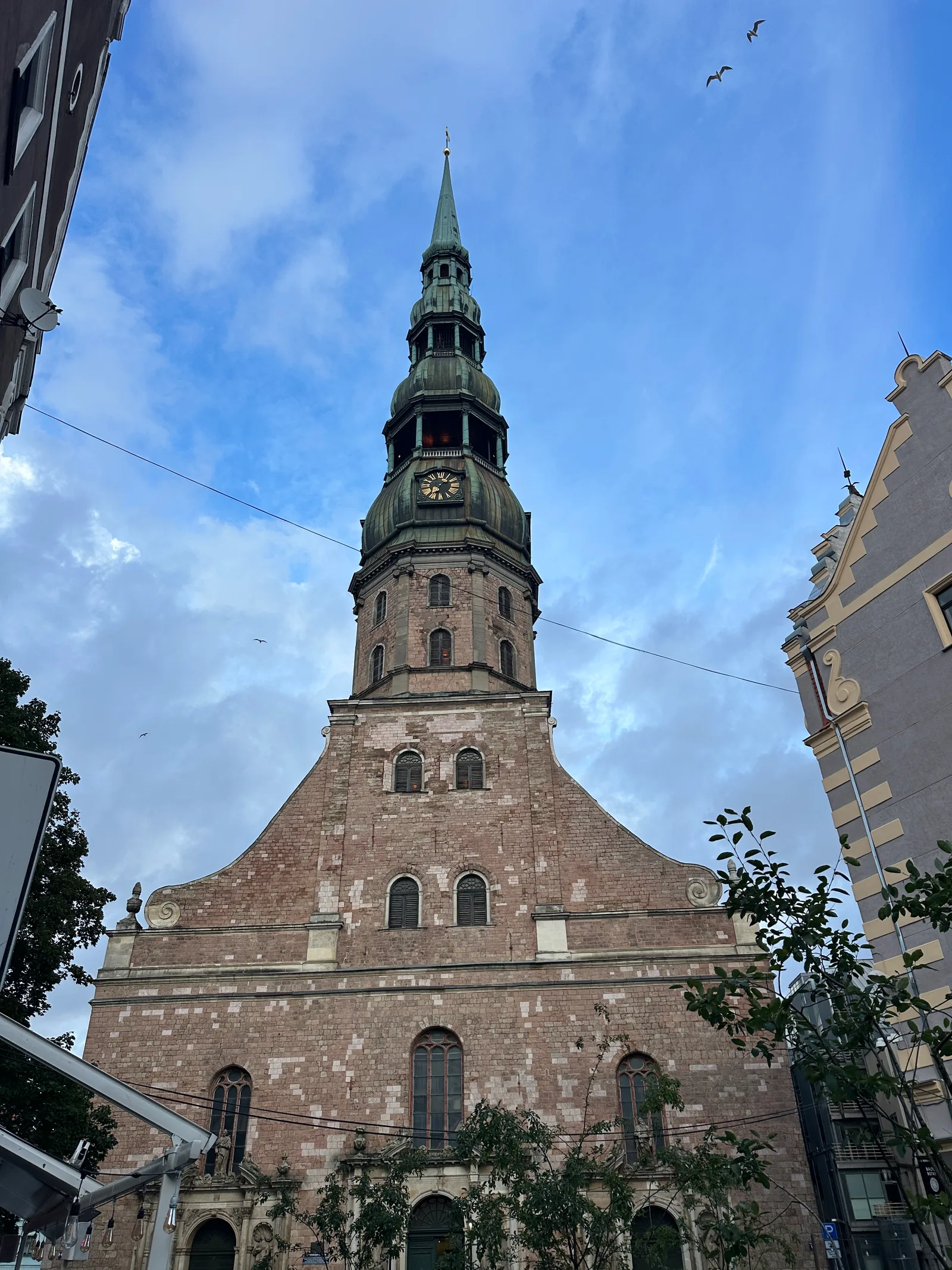 IMG_7466