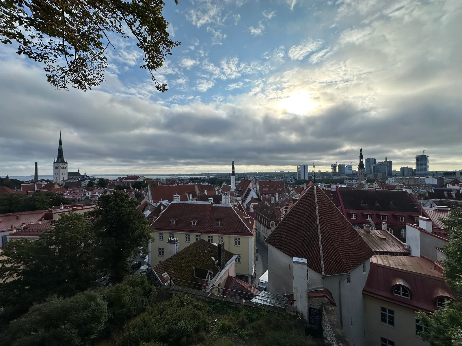 IMG_7690