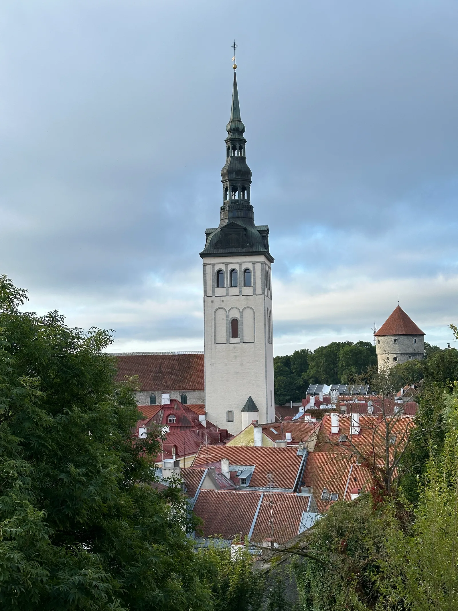 IMG_7691
