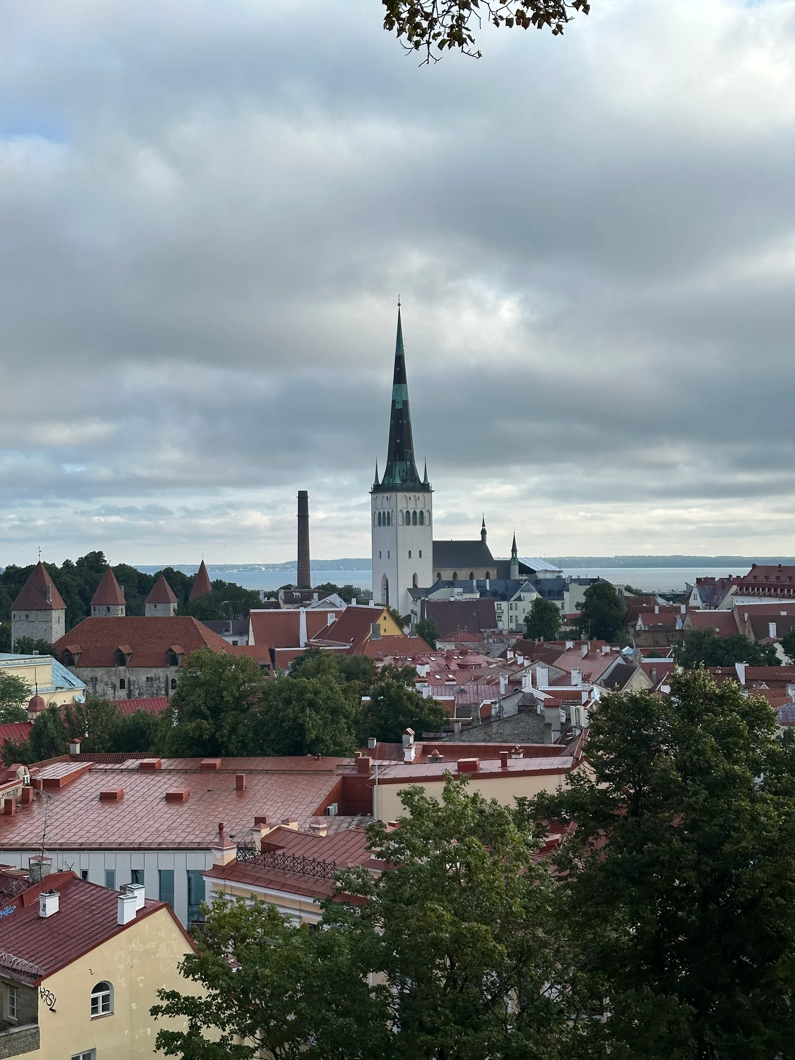 IMG_7694