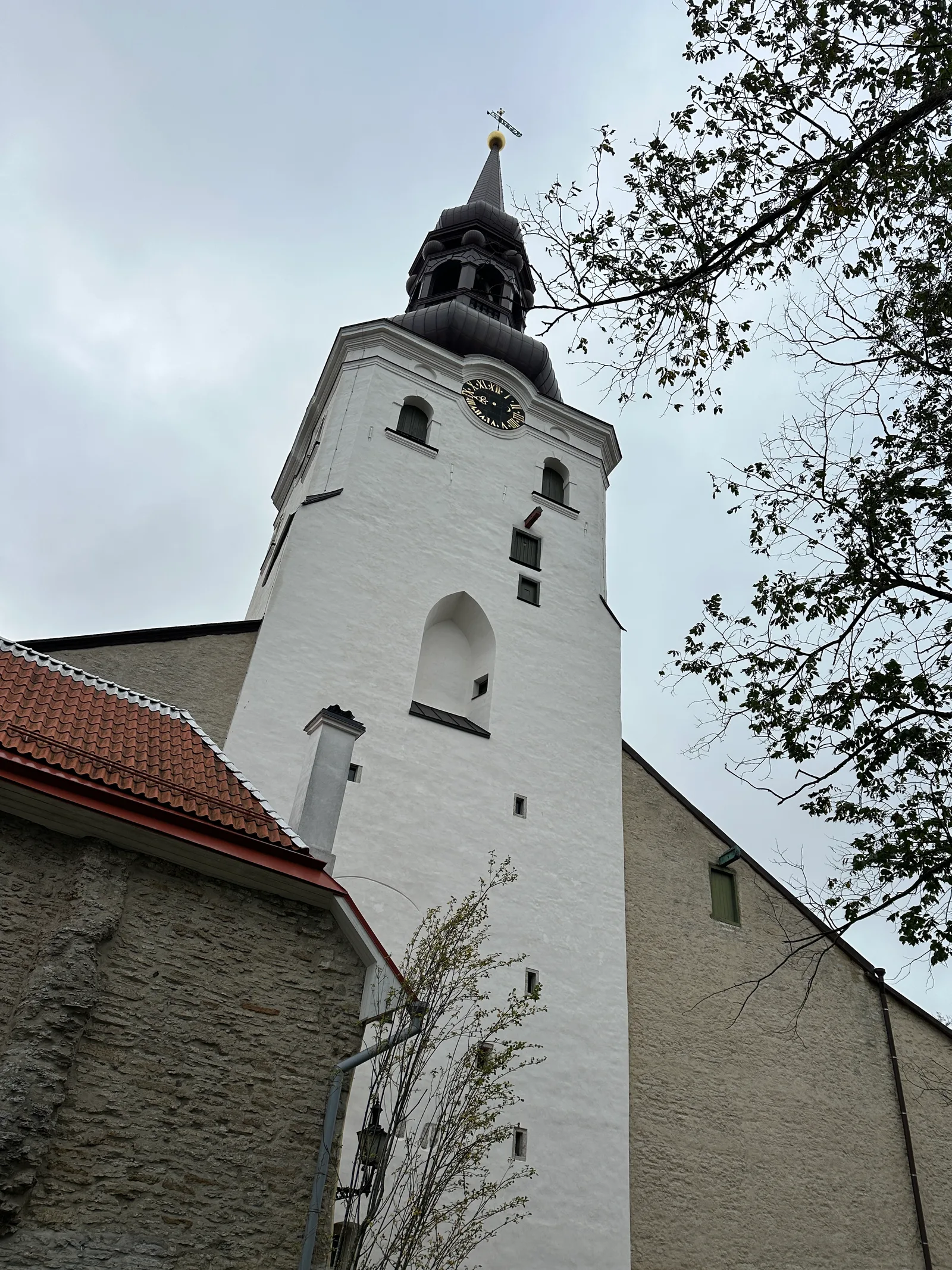 IMG_7780