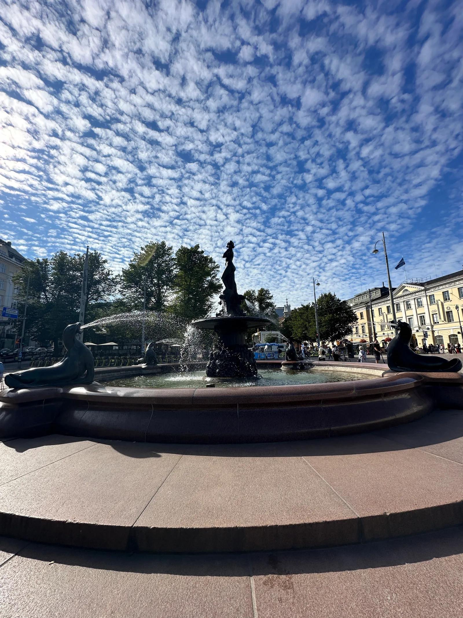 IMG_8309