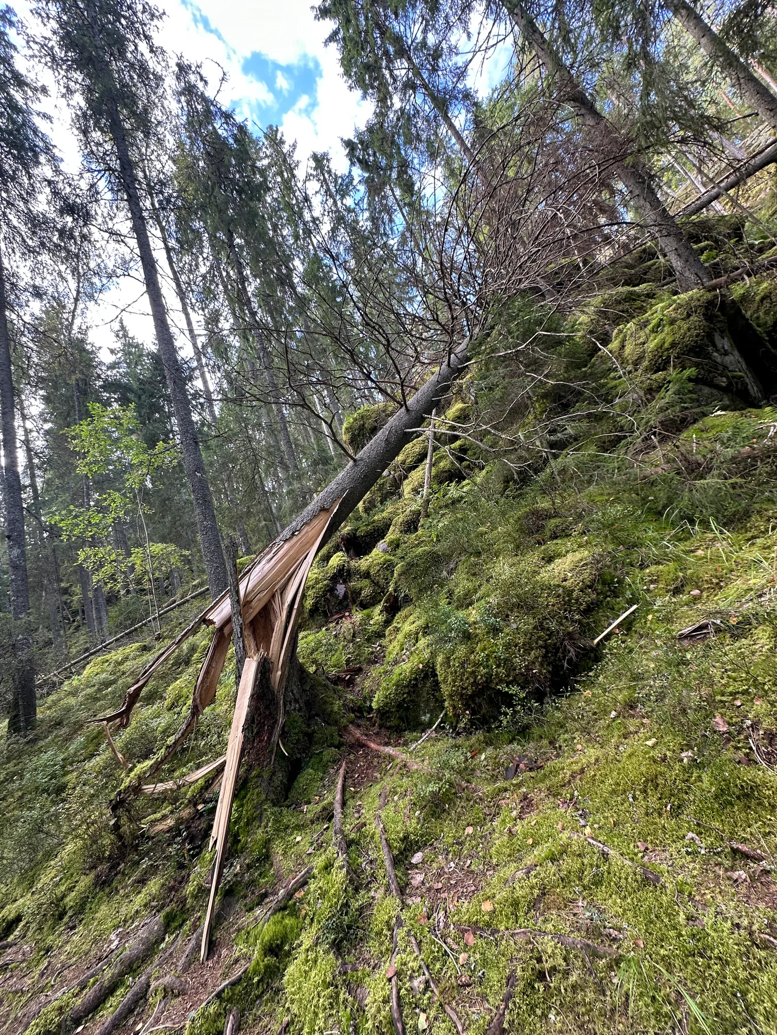 IMG_8562