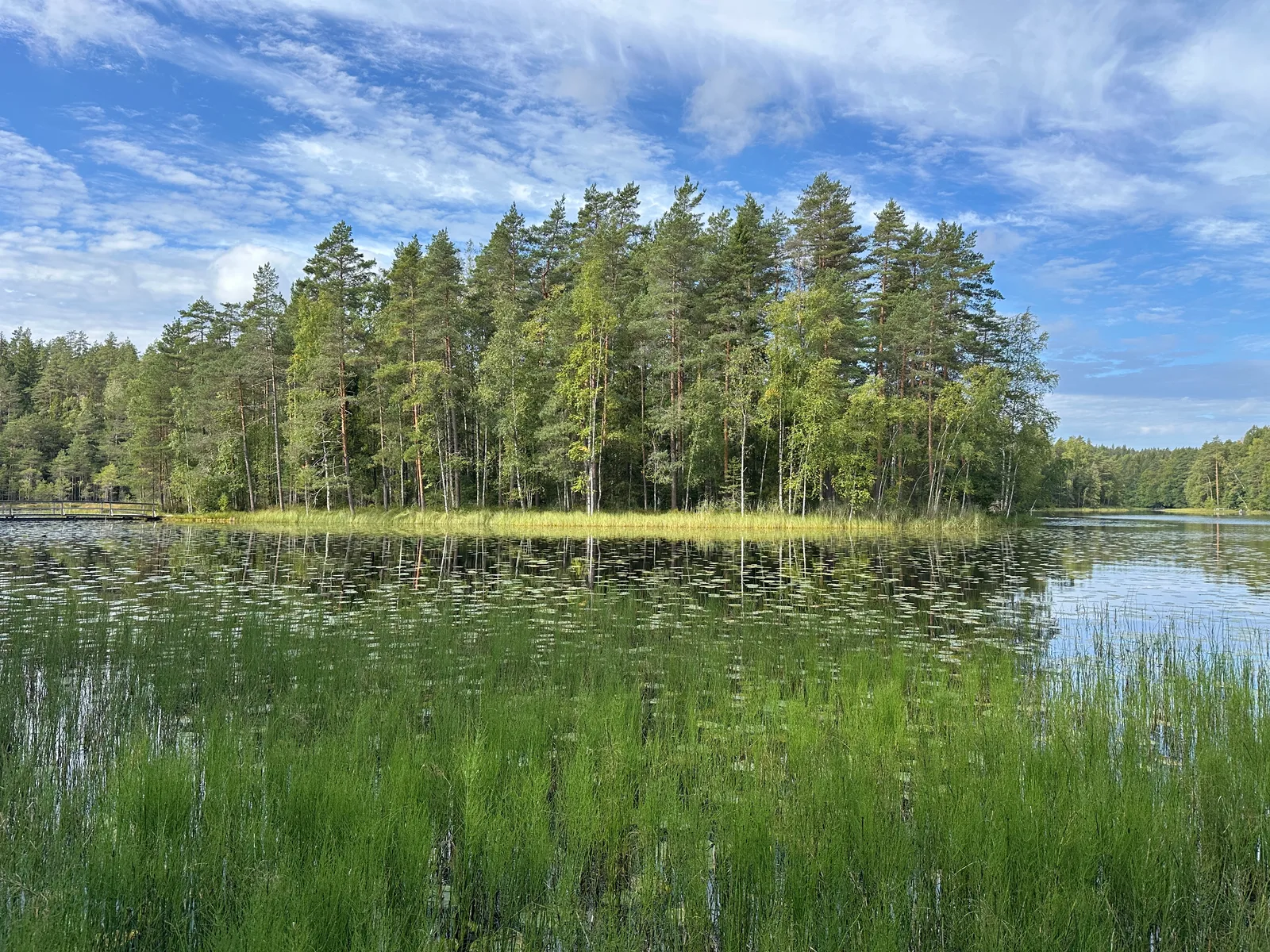 IMG_8570