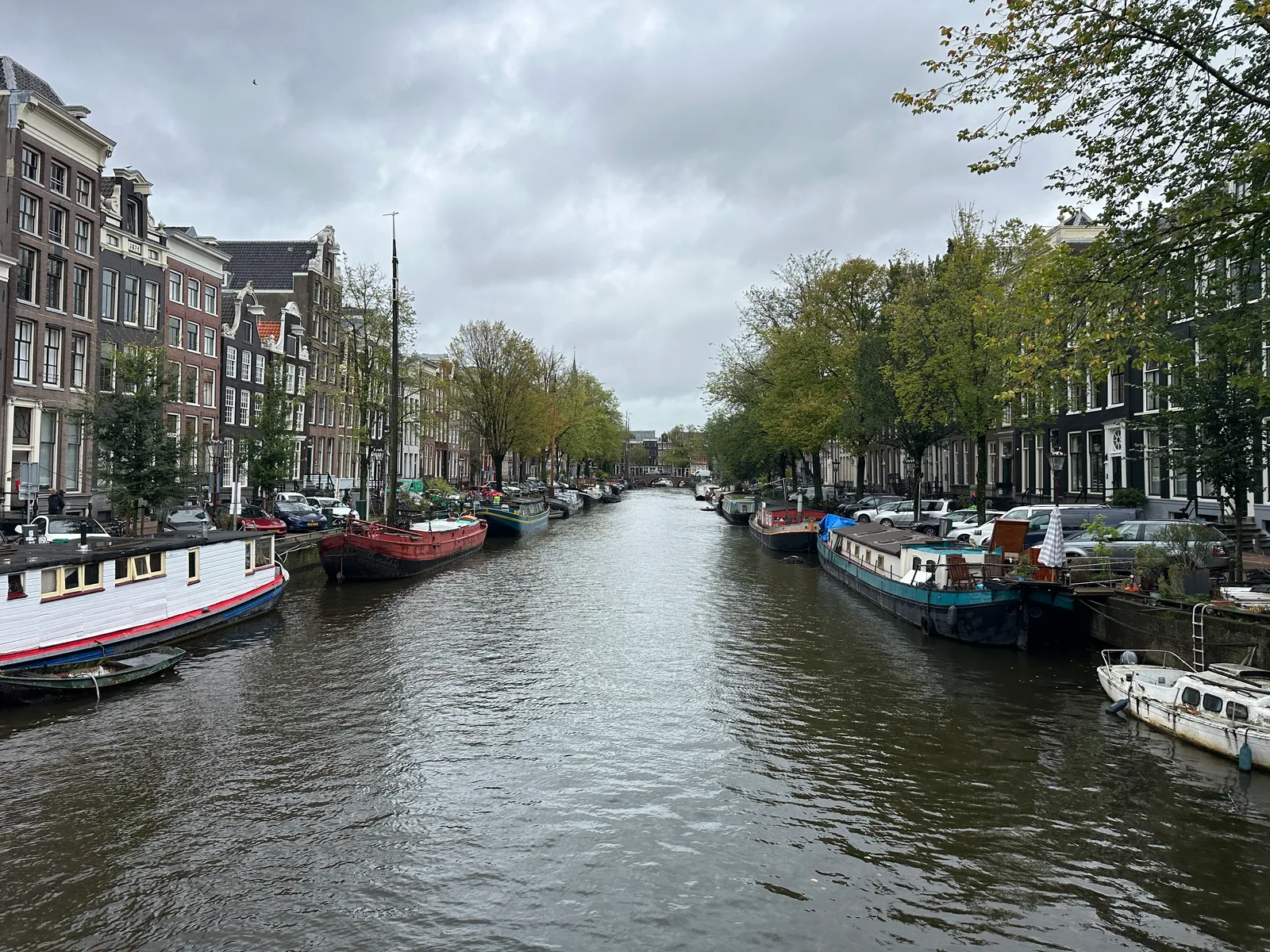 IMG_9510