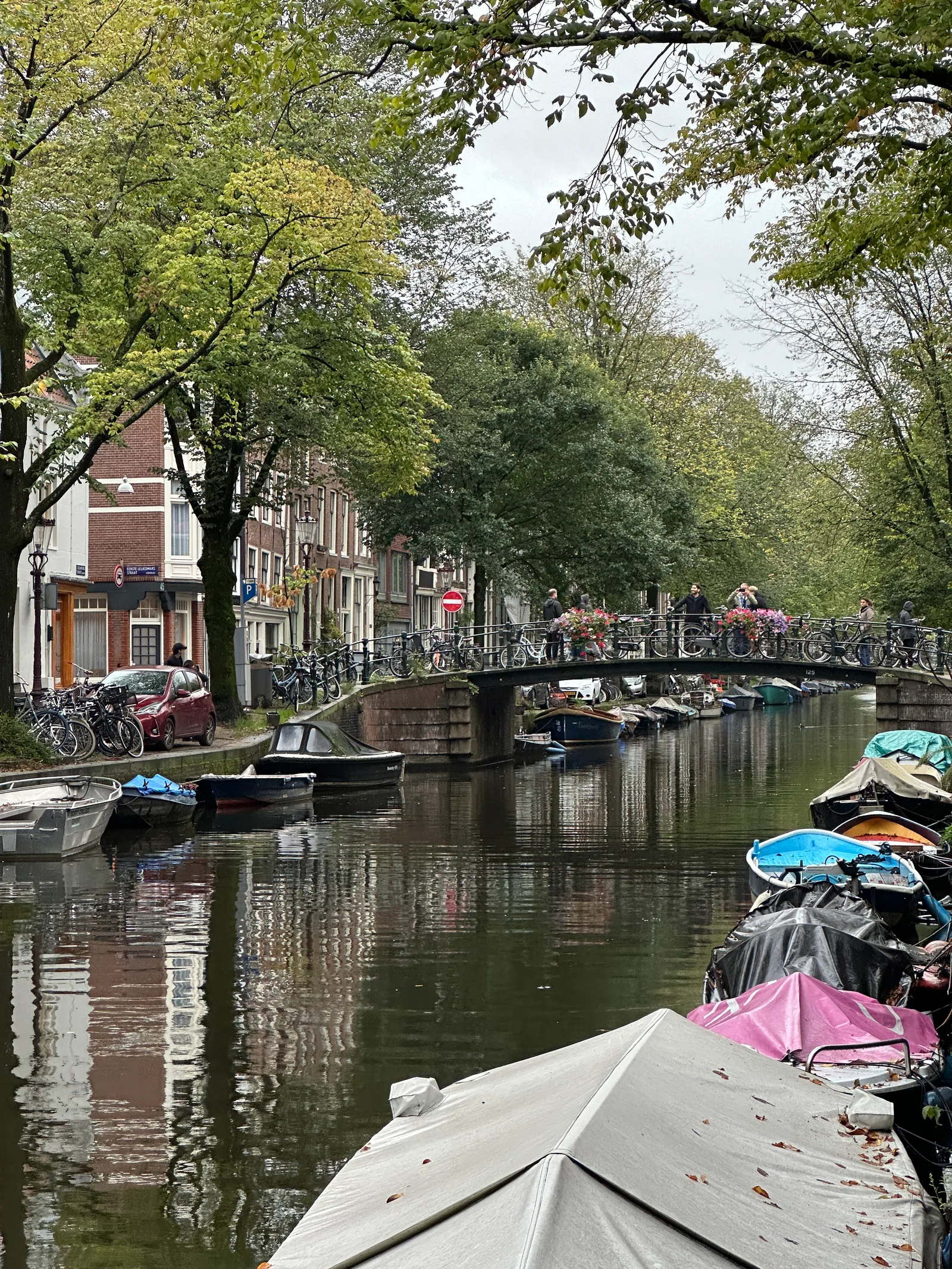 IMG_9560